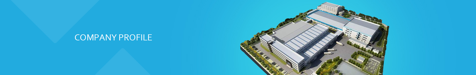 Company Profile